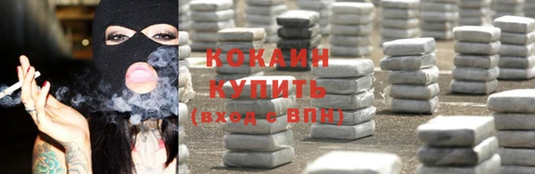 стаф Аркадак
