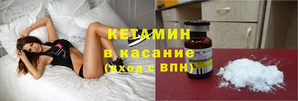стаф Аркадак