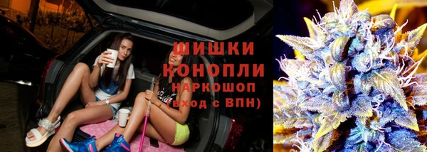 стаф Арсеньев