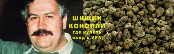 стаф Аркадак
