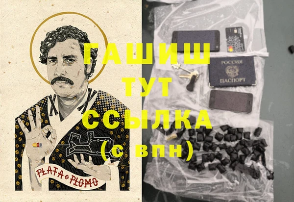 стаф Аркадак