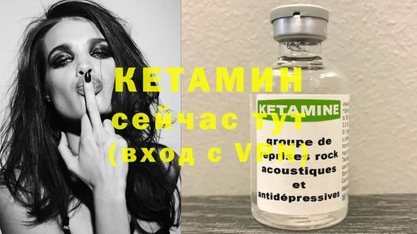 стаф Аркадак