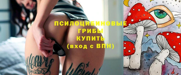 стаф Арсеньев