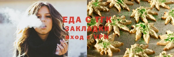 стаф Арсеньев